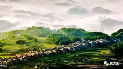 休閑農(nóng)業(yè)與鄉(xiāng)村旅游資源的開發(fā)策略與實踐